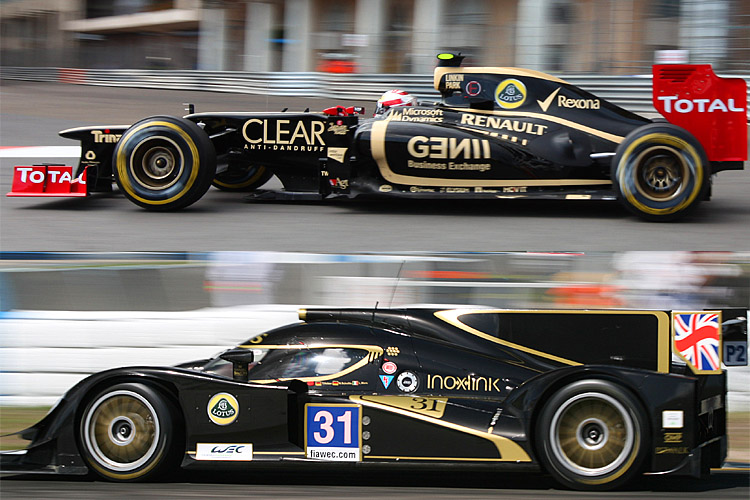 Lotus145218185Fish0339 Lotus145218185Fish0339