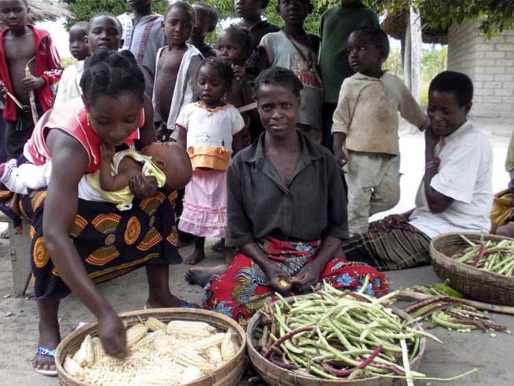 SECURING FOOD: Local women in Nampula Province, Mozambique sell their crops of Nhemba beans and maize: staple foods in the local diet after a small harvest. (WFP/Ken Davies)