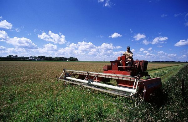 Epoch Times Photo