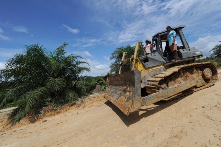 A worker drives a bulldozer near a newly developed palm oil plantation over cleared tropical forest land on June 5, in Borneo, Indonesia. (Romeo Gacad/AFP/GettyImages) A worker drives a bulldozer near a newly developed palm oil plantation over cleared tropical forest land on June 5, in Borneo, Indonesia. (Romeo Gacad/AFP/GettyImages)