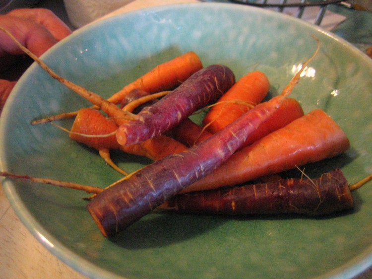 Home-grown 'Purple Haze' and 'Egmont Gold' carrots. (Gordon Joly/Wikimedia Commons) Home-grown 'Purple Haze' and 'Egmont Gold' carrots. (Gordon Joly/Wikimedia Commons)