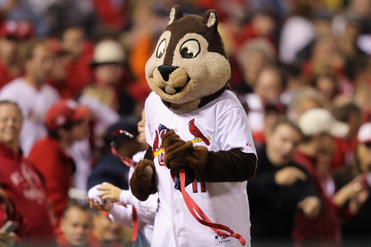 The Saint Louis Rally Squirrel runs around Busch Stadium during Game 5 of the NLCS. The Rally Squirrel will be going 'nuts' for the Cardinals during the World Series. (Jamie Squire/Getty Images) The Saint Louis Rally Squirrel runs around Busch Stadium during Game 5 of the NLCS. The Rally Squirrel will be going 'nuts' for the Cardinals during the World Series. (Jamie Squire/Getty Images)