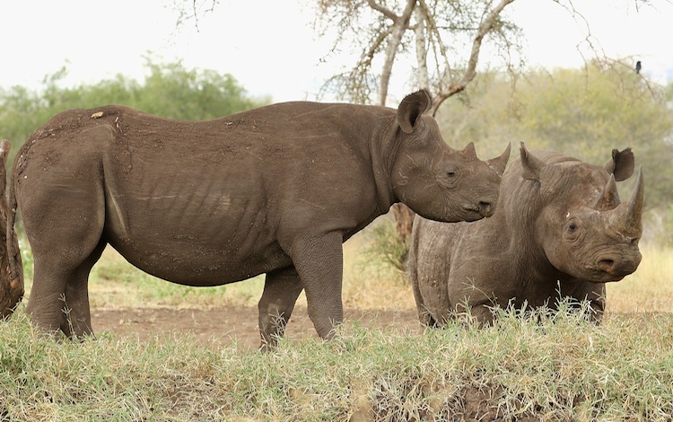 Epoch Times Photo