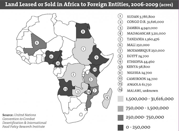 (Diana Hubert/The Epoch Times) (Diana Hubert/The Epoch Times)