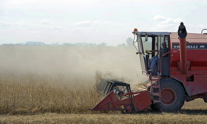 IN-DEPTH: Doctors Warn of the ‘Hidden Harms’ of Bioengineered Foods