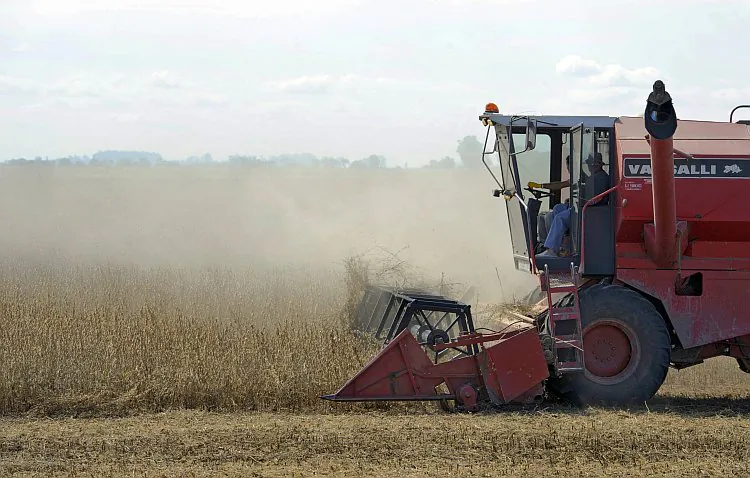 A congressional provision makes approval for bioengineered crops quick and easy. (Juan Mabromata/AFP/Getty Images)