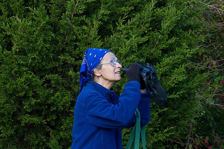 BIRD WATCHER: Starr Saphir, a 72-year-old birder from New York City, leads bird watching tours in Central Park four times a week. On an average tour she can spot more than 70 different kinds of birds. (Courtesy of Starr Saphir) BIRD WATCHER: Starr Saphir, a 72-year-old birder from New York City, leads bird watching tours in Central Park four times a week. On an average tour she can spot more than 70 different kinds of birds. (Courtesy of Starr Saphir)