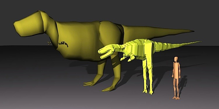 Comparison of the fleshed out models of the largest (SUE) and smallest (Jane) specimens, along with a human figure for scale. These are scientific models constructed for calculation of physical properties and are therefore not embellished with aesthetic details. (Julia Molnar)