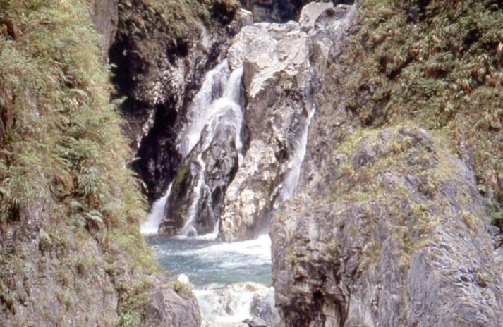 Epoch Times Photo