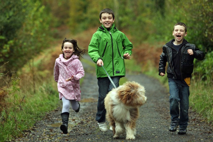 Eva 5, Alex, 8, Sam White, 7, with Bertie the Bearded Collie take a run in Union Wood, where Michael Ring T.D. Minister for State at the Department of Transport, Tourism and Sport, launched the 'Walk The Sligo Way' New Walking Guide in Sligo. (James Connolly/PicSell8) Eva 5, Alex, 8, Sam White, 7, with Bertie the Bearded Collie take a run in Union Wood, where Michael Ring T.D. Minister for State at the Department of Transport, Tourism and Sport, launched the 'Walk The Sligo Way' New Walking Guide in Sligo. (James Connolly/PicSell8)