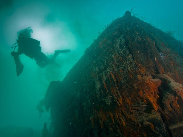 An archaeologist swims over the bow of HMS Investigator. (Brett Seymour/NPS/Parks Canada ) An archaeologist swims over the bow of HMS Investigator. (Brett Seymour/NPS/Parks Canada )