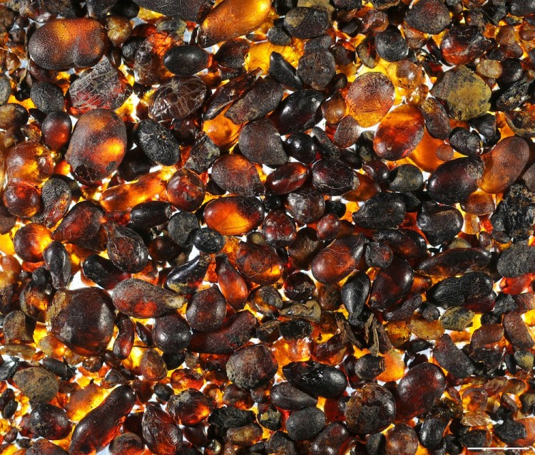 amber drops_2 Epoch Times Photo