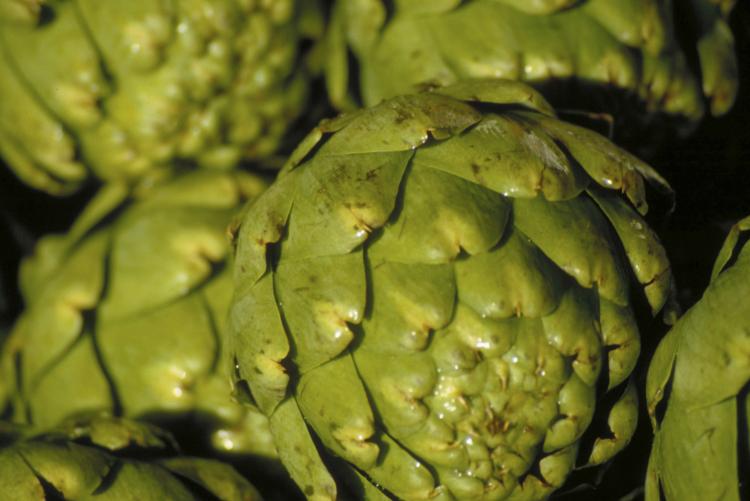 May is the peak season for baby artichokes. (Photos.com) May is the peak season for baby artichokes. (Photos.com)