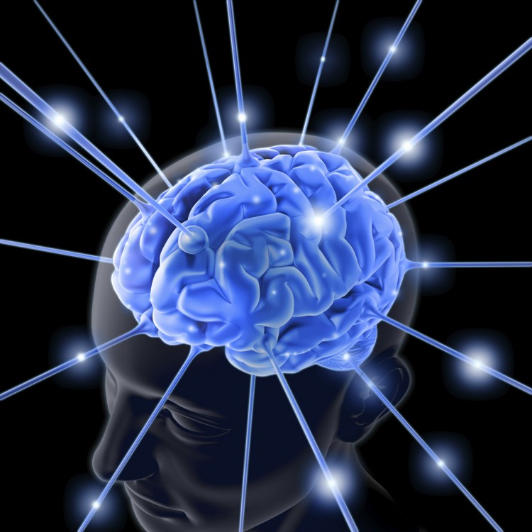 Interaction rate between the frontal cortex and the nucleus accumbens in the brain, related to emotional and motivational behavior, is a predictor or whether one will develop chronic pain after back injury, a new study finds. (Kiyoshi Takahase Segundo/Photos.com) Interaction rate between the frontal cortex and the nucleus accumbens in the brain, related to emotional and motivational behavior, is a predictor or whether one will develop chronic pain after back injury, a new study finds. (Kiyoshi Takahase Segundo/Photos.com)