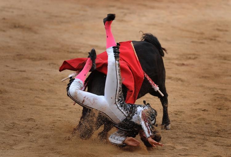 French Matador Sebastian Castella is gored by a Jandilla fighting bull during a bullfight of the San Fermin festival, on July 14, in Pamplona. The festival is a symbol of Spanish culture, despite heavy condemnation from animal rights groups.  (Pedro Armestre/Getty Images)