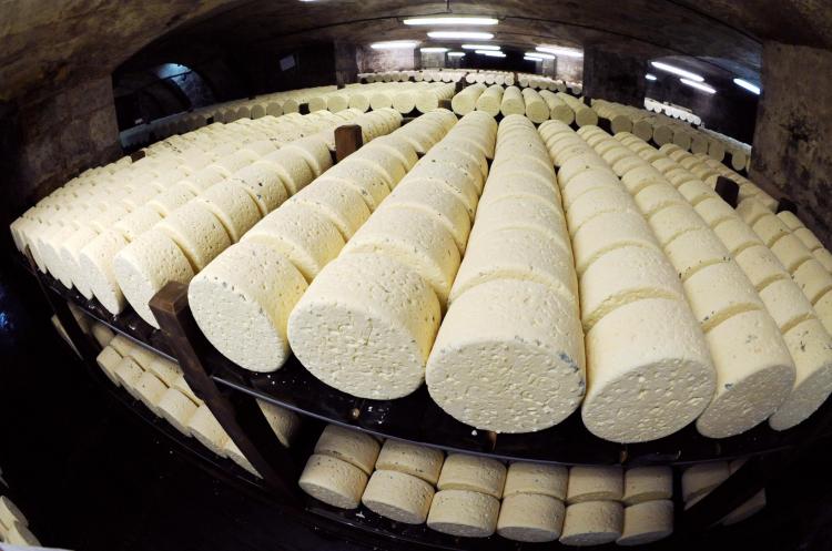 Picture of Roquefort cheeses taken on January 16, 2009 in a cellar at Roquefort-sur-Soulzon, southern France. (Remy Gabalda/AFP/Getty Images) Picture of Roquefort cheeses taken on January 16, 2009 in a cellar at Roquefort-sur-Soulzon, southern France. (Remy Gabalda/AFP/Getty Images)