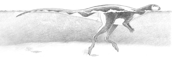 Hypothesized reconstruction of the small Lark Quarry trackmaker. (Anthony Romilio/The University of Queensland)
