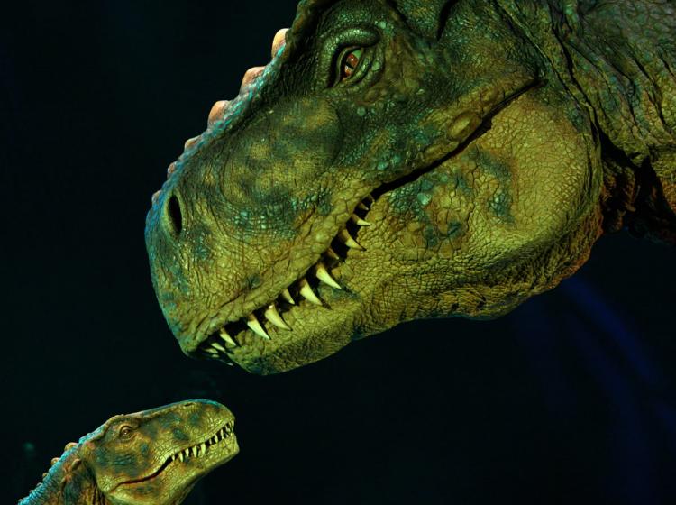 Dinosaurs of the show 'Dinosaurier - Im Reich Der Giganten' perform during the Wetten dass...? show at the Messe Freiburg on October 3, 2009 in Freiburg, Germany. (Miguel Villagran/Getty Images) Dinosaurs of the show 'Dinosaurier - Im Reich Der Giganten' perform during the Wetten dass...? show at the Messe Freiburg on October 3, 2009 in Freiburg, Germany. (Miguel Villagran/Getty Images)