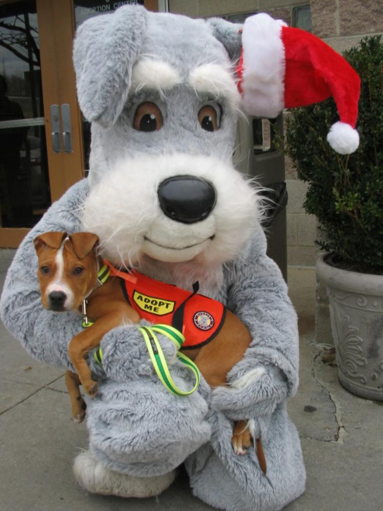 Maddie's Fund mascot holds an adoptable pet. The fund, set up by Dave Duffield and his wife Cheryl, is helping to create a no-kill nation where all healthy and treatable shelter dogs and cats are guaranteed a loving home. (Courtesy The Mayor's Alliance for New York City's Animals) Maddie's Fund mascot holds an adoptable pet. The fund, set up by Dave Duffield and his wife Cheryl, is helping to create a no-kill nation where all healthy and treatable shelter dogs and cats are guaranteed a loving home. (Courtesy The Mayor's Alliance for New York City's Animals)