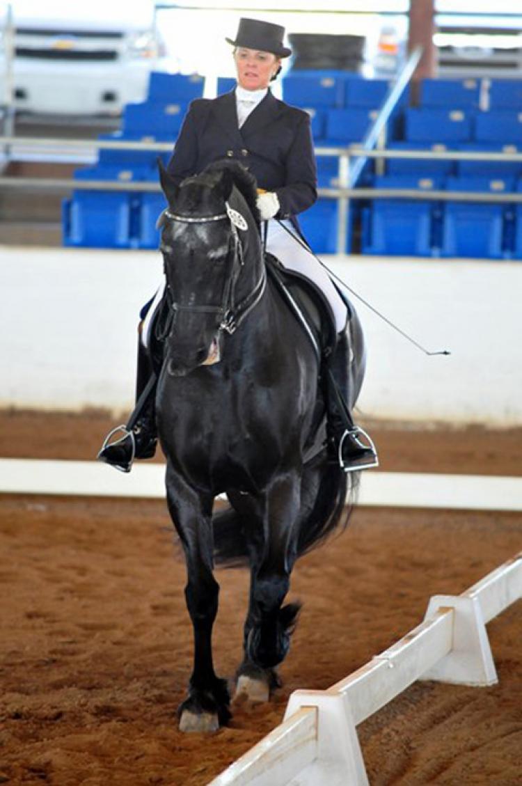 PAN-AM EQUESTRIAN: Ellie Stine-Masek, 'S' level dressage judge, riding the Friesan gelding, HortensiusDW. PAN-AM EQUESTRIAN: Ellie Stine-Masek, 'S' level dressage judge, riding the Friesan gelding, HortensiusDW.