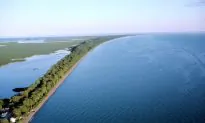 Failed Climate Project Cost Federal Infrastructure Bank $900K in Consultants’ Fees