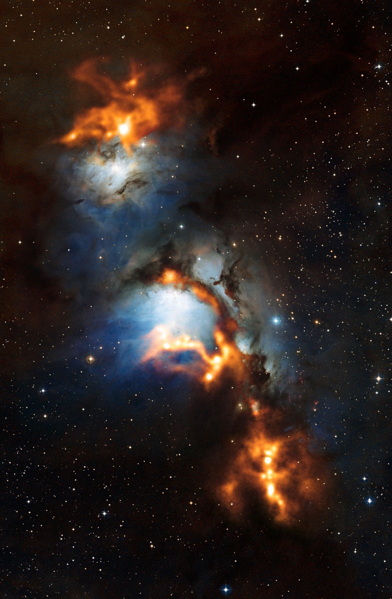 This image of the region surrounding the reflection nebula Messier 78, just to the north of Orion's belt, shows clouds of cosmic dust threaded through the nebula like a string of pearls. This image of the region surrounding the reflection nebula Messier 78, just to the north of Orion's belt, shows clouds of cosmic dust threaded through the nebula like a string of pearls.
