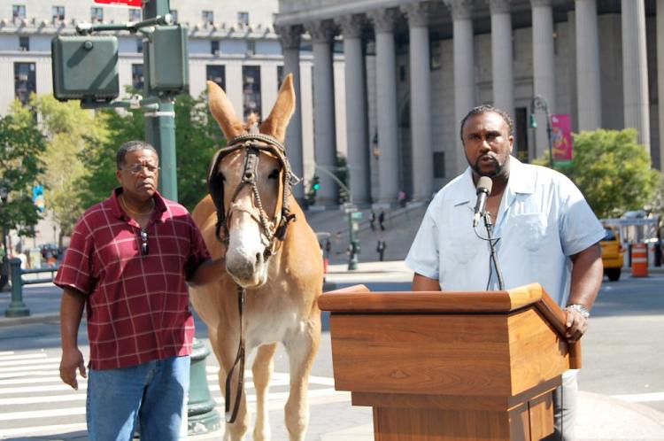 John W. Boyd, Jr. (R), founder and president of the National Black Farmers Association, spoke in front of the New York County Supreme Court building on Tuesday, Sept. 7. Boyd walked around the nearby park with a mule following a press conference, which was held to raise awareness of a stalled bill that promises funding for black farmers. (Angela Wang/The Epoch Times) John W. Boyd, Jr. (R), founder and president of the National Black Farmers Association, spoke in front of the New York County Supreme Court building on Tuesday, Sept. 7. Boyd walked around the nearby park with a mule following a press conference, which was held to raise awareness of a stalled bill that promises funding for black farmers. (Angela Wang/The Epoch Times)