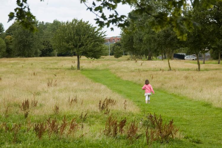 (Beatrice Murphy) (Beatrice Murphy)