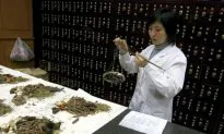 Herbal Remedies for Osteoporosis Are Safe and Effective: South Korean Research