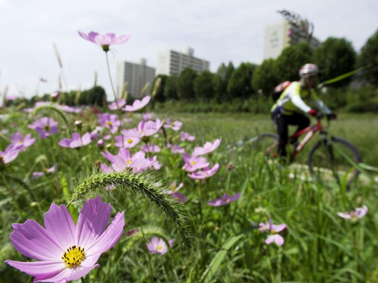 A cyclist in the central South Korean city of Daejeon enjoys one of the city's many riverside bike trails. (Jarrod Hall/The Epoch Times ) A cyclist in the central South Korean city of Daejeon enjoys one of the city's many riverside bike trails. (Jarrod Hall/The Epoch Times )