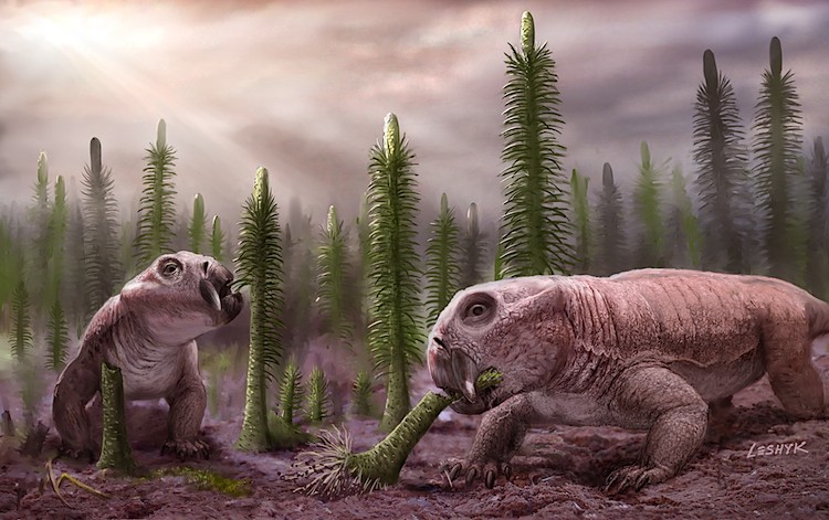 How The Permian-Triassic Extinction Event Affected Land-Based Animals