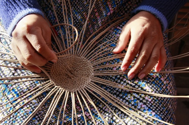 Venezuelan basket weaver Maigualida Edith Martinez Nunez of the Medawa Basket Cooperative demonstrates her technique at the Santa Fe International Folk Art Market (Courtesy of Judith Cooper Haden) Venezuelan basket weaver Maigualida Edith Martinez Nunez of the Medawa Basket Cooperative demonstrates her technique at the Santa Fe International Folk Art Market (Courtesy of Judith Cooper Haden)