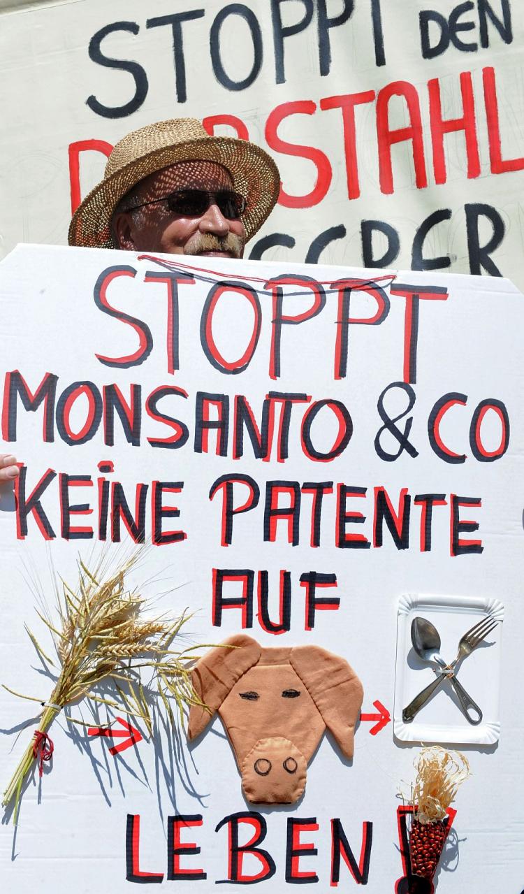 FIGHTING GMOs: A man protests with placards reading 'No patents on life, stop Monsanto' during a demonstration against food patents in Munich, Germany, on July 20, 2010. The Canadian National Research Council says it is not contemplating GMO wheat as part of its research on wheat improvements in Canada. (Christof Stache/AFP/Getty Images) FIGHTING GMOs: A man protests with placards reading 'No patents on life, stop Monsanto' during a demonstration against food patents in Munich, Germany, on July 20, 2010. The Canadian National Research Council says it is not contemplating GMO wheat as part of its research on wheat improvements in Canada. (Christof Stache/AFP/Getty Images)