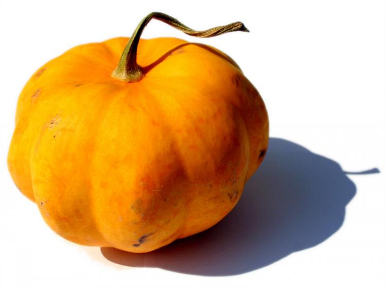 Pumpkin (www.JenaFoto24.de/www.pixelio.de) Pumpkin (www.JenaFoto24.de/www.pixelio.de)