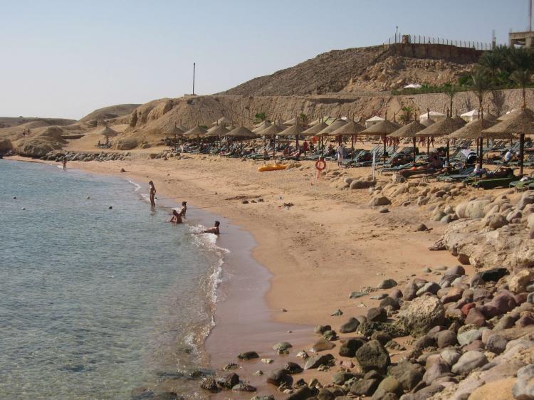 Red Sea Beaches Where Sharks Attacked To Reopen