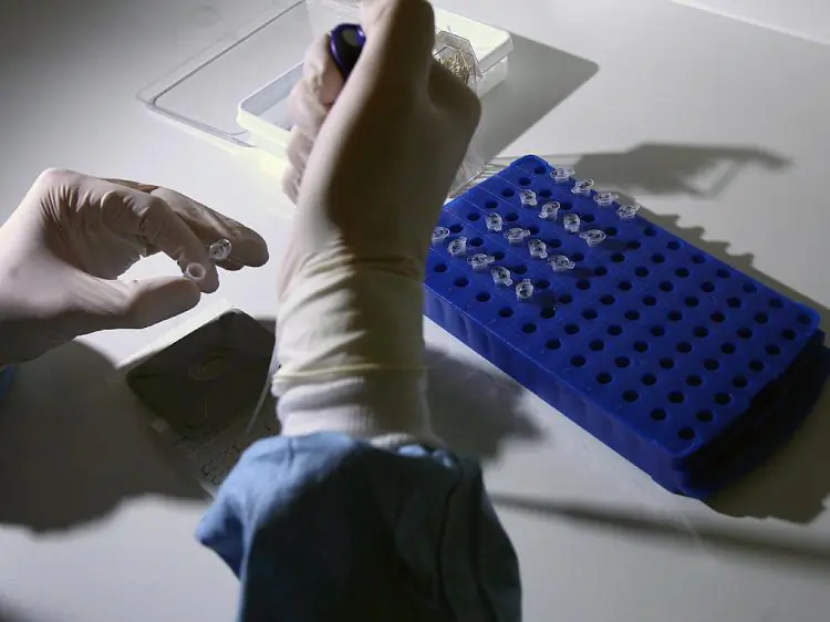 Scientists work in a lab to develop a vaccine for the H1N1 or 'Swine' Flu. (Jeff J. Mitchell/Getty Images)