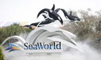 ‘Sesame Street’ Owners Sue SeaWorld to Terminate Licensing Deal
