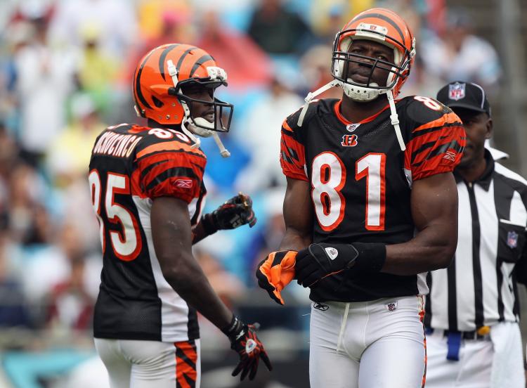 Terrell Owens #81 and teammate Chad Ochocinco #85 of the Cincinnati Bengals wait for a play against the Carolina Panthers during their game at Bank of America Stadium on September 26, 2010 in Charlotte, North Carolina. (Streeter Lecka/Getty Images) Terrell Owens #81 and teammate Chad Ochocinco #85 of the Cincinnati Bengals wait for a play against the Carolina Panthers during their game at Bank of America Stadium on September 26, 2010 in Charlotte, North Carolina. (Streeter Lecka/Getty Images)