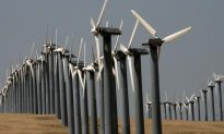 Net-Zero Plans to Decarbonize Economy ‘Madness’, Claims Engineering Expert