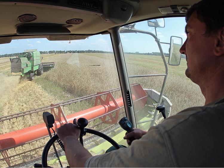 GRAIN SHORTAGE: Farmers harvest grain on land near Zhovtneve village, in the region of Chernigov, some 220 km (136 miles) north of Kyiv, Ukraine, in this file photo from last year. Following Russia's ban on grain exports, Ukraine, the world's biggest barley exporter, may also introduce ban quota to its grain exports that were also damaged by severe summer draught. (Genya Savilov/AFP/Getty Images)