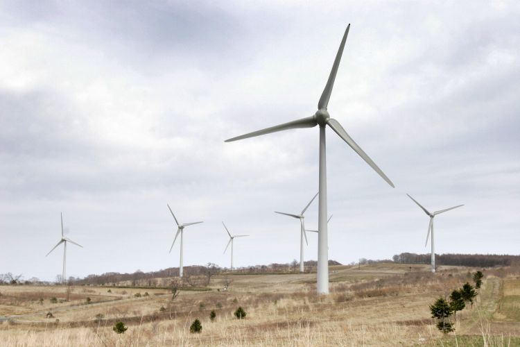 wind-farm-web-74026309 Epoch Times Photo