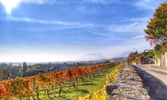 France Has a Great Plan for Its Soil—And It’s Not Just About Wine