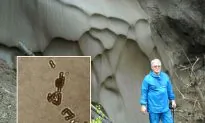 Russian Scientists Make Progress on Secret of Eternal Life