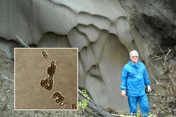 Right: Dr. Anatoli Brouchkov on Mamontova Gora.  Left: Bacillus F, bacteria that could be key to an "elixir of life." (Courtesy of Anatoli Brouchkov)