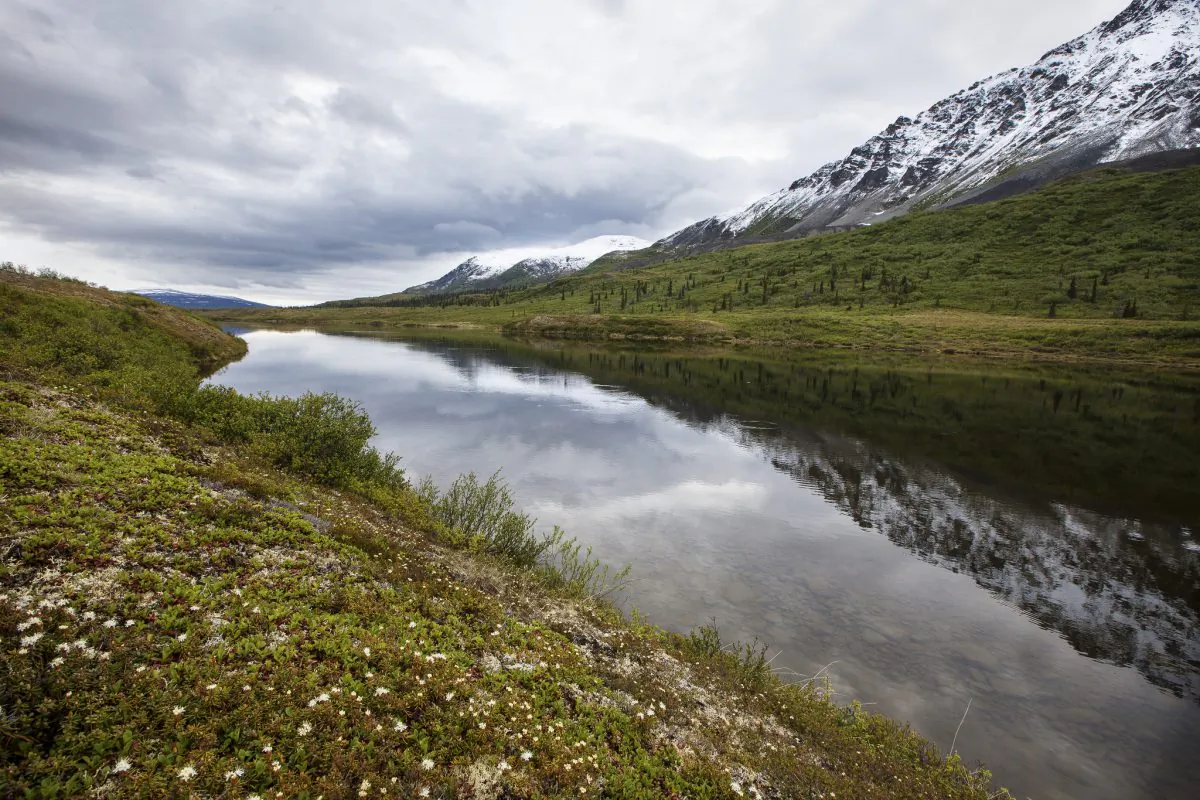 Carbon in some types of ancient permafrost is digested by greenhouse gas-producing microbes. (Bureau of Land Management/CC BY 2.0)