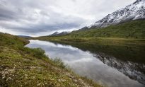 Permafrost-Eating Bacteria: A New Twist on Thawing Arctic and Global Warming