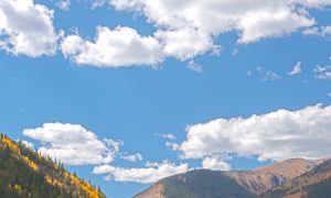 Does Nature Have Value Beyond What It Provides Humans