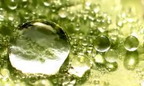 The Universe’s Most Miraculous Molecule