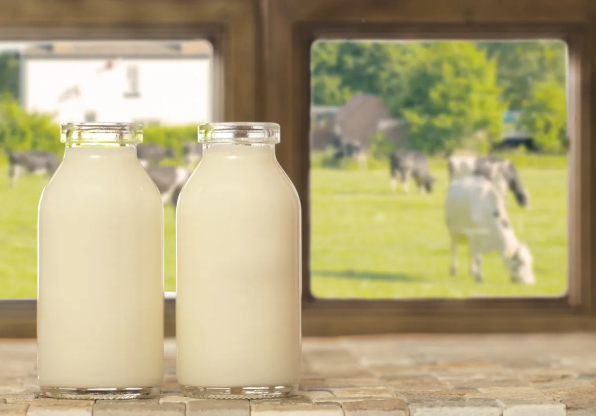 Two bottles of milk. (Chris_Elwell/iStock)