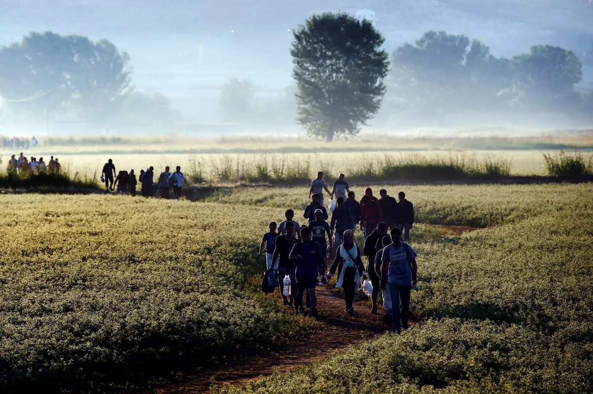 Syrian refugees and migrants walk in a field to cross the border between Greece and Macedonia on Aug. 29, 2015. (Aris Messinis/AFP/Getty Images)